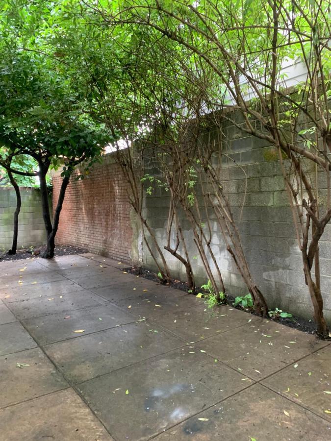 Renovated English Basement 2Bdrm Home Near Metro Washington Buitenkant foto